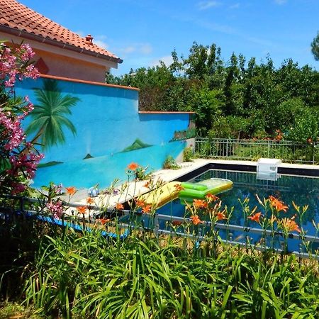 טולוז 2 Chambres Et Salle De Bain Un Oasis De Bien Etre Piscine Et Jardin Direct Gare Aeroport מראה חיצוני תמונה