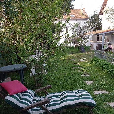 טולוז 2 Chambres Et Salle De Bain Un Oasis De Bien Etre Piscine Et Jardin Direct Gare Aeroport מראה חיצוני תמונה