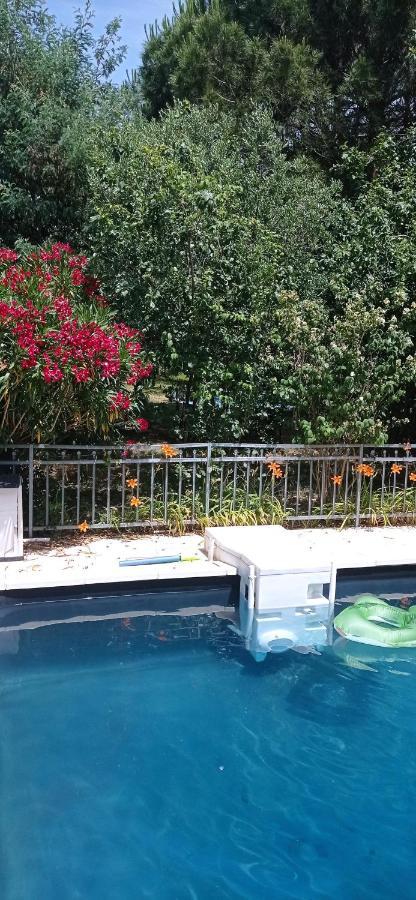 טולוז 2 Chambres Et Salle De Bain Un Oasis De Bien Etre Piscine Et Jardin Direct Gare Aeroport מראה חיצוני תמונה