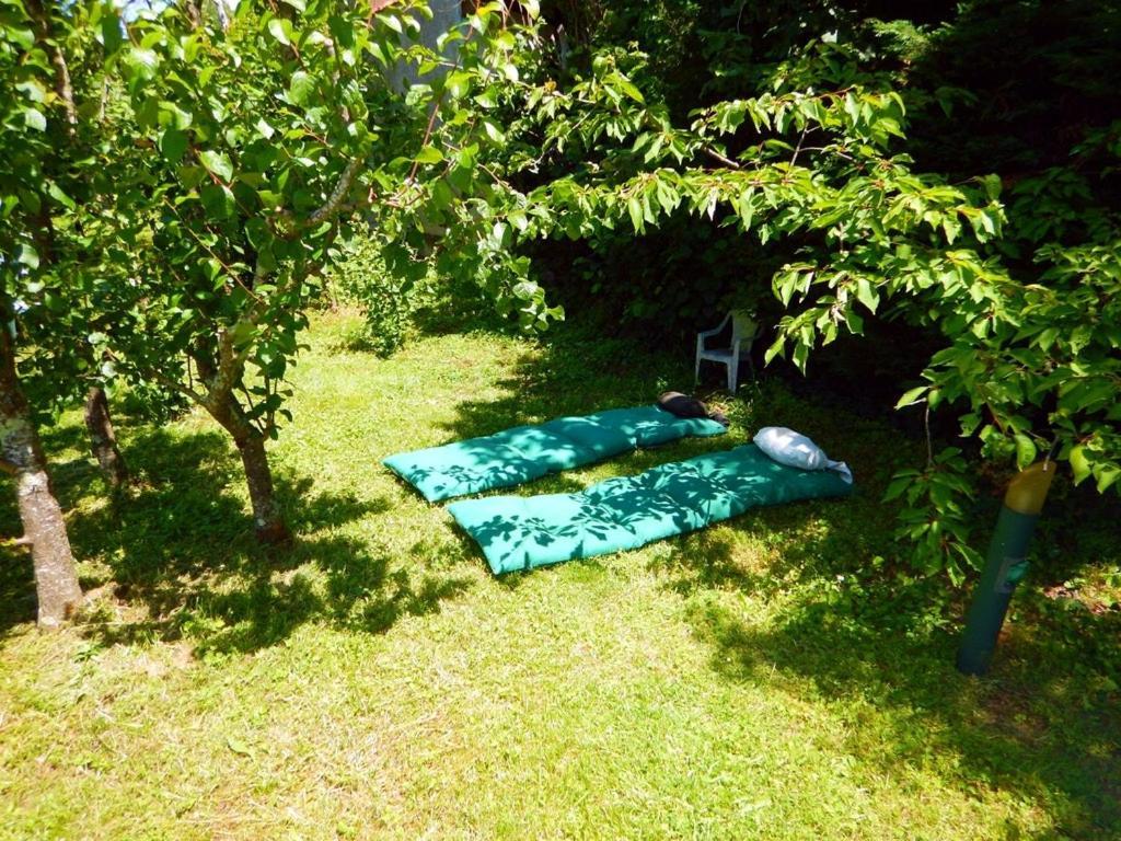 טולוז 2 Chambres Et Salle De Bain Un Oasis De Bien Etre Piscine Et Jardin Direct Gare Aeroport מראה חיצוני תמונה