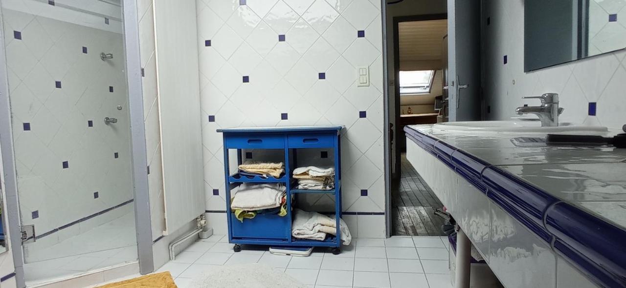 טולוז 2 Chambres Et Salle De Bain Un Oasis De Bien Etre Piscine Et Jardin Direct Gare Aeroport מראה חיצוני תמונה